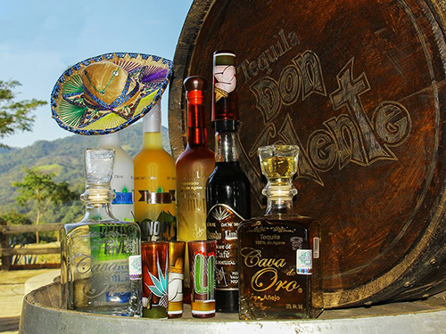 Puerto Vallarta Razor Adventure Shore Excursion Booking