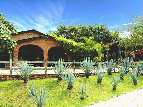 Puerto Vallarta Polaris Adventure Excursion Reviews