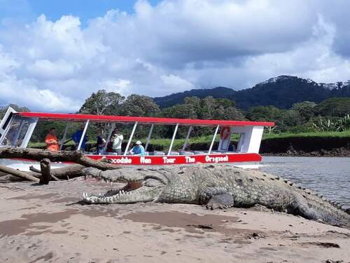 Puntarenas  Costa Rica Carara National Park Tour Booking