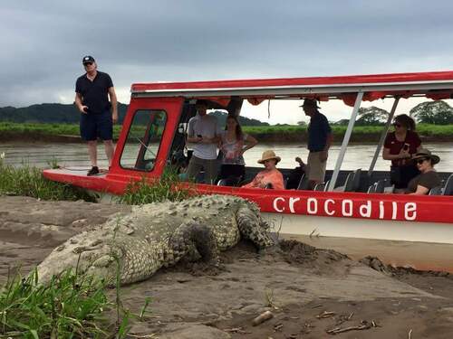 Puntarenas Private Jungle and River ATV Adventure and Crocodile Boat Excursion