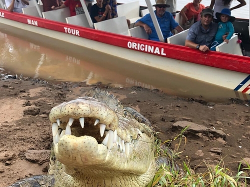 Puntarenas Private Jungle and River ATV Adventure and Crocodile Boat Excursion