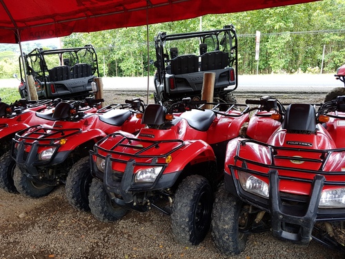 Puntarenas Private Jungle and River ATV Adventure and Crocodile Boat Excursion