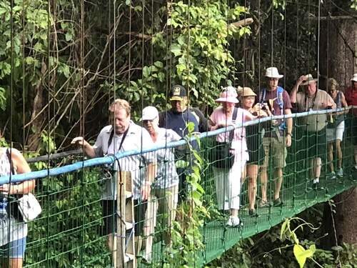 Puntarenas Private Rainforest Treetop Skywalk and Tarcoles River Cruise Excursion