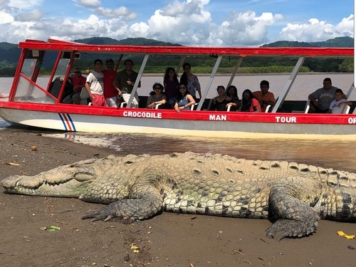 Puntarenas Private Rainforest Treetop Skywalk and Tarcoles River Cruise Excursion