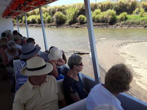 Puntarenas Private Rainforest Treetop Skywalk and Tarcoles River Cruise Excursion