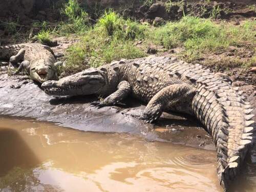 Puntarenas Private Super Combo Highlights and Sightseeing Excursion