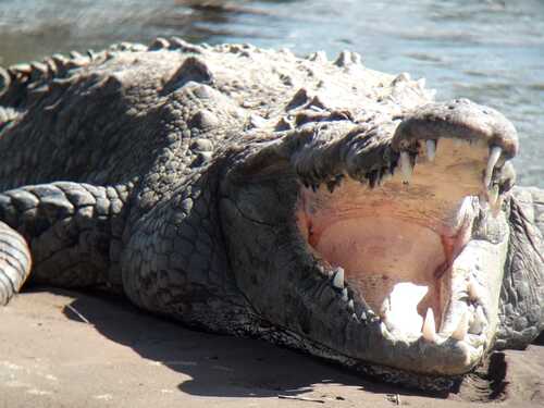 Puntarenas Private Super Combo Highlights and Sightseeing Excursion