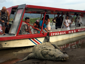 Puntarenas Rainforest Excursion: Treetop Skywalk and Tarcoles River Cruise