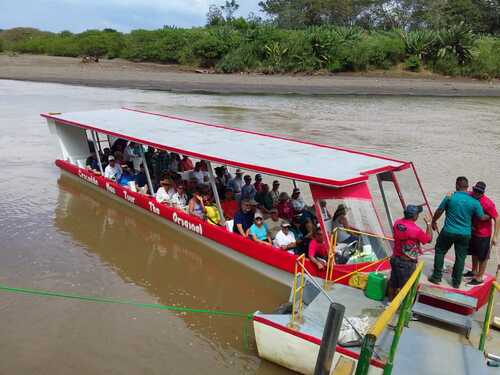 Puntarenas Rainforest Sightseeing Reviews