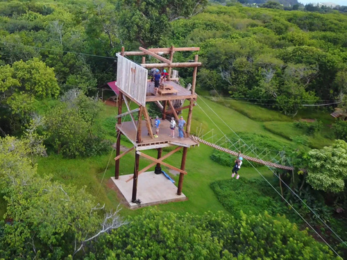 Maui Hawaii ziplining Shore Excursion Prices
