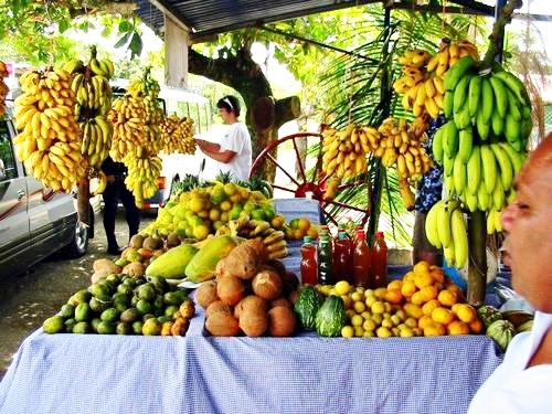 Puerto Limon Costa Rica tortuguero canal Shore Excursion Reservations