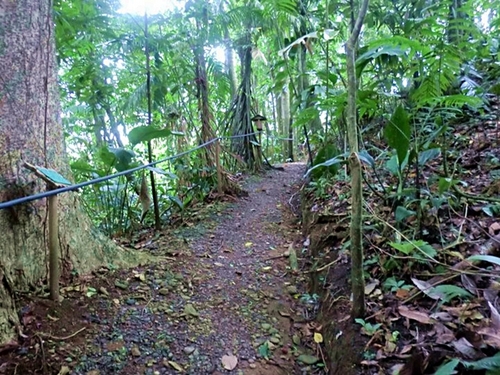 Puerto Limon  Costa Rica eco nature guided encounter Cost