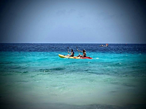 Curacao Willemstad kayaking Tour Booking