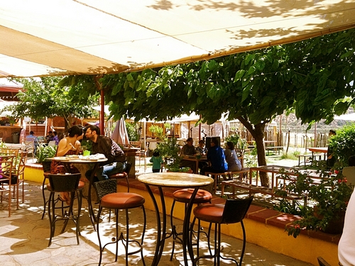 Ensenada wine tasting Reviews