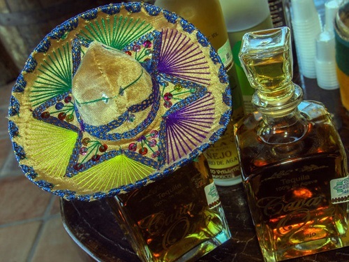 Puerto Vallarta tequila tasting Tour Reviews