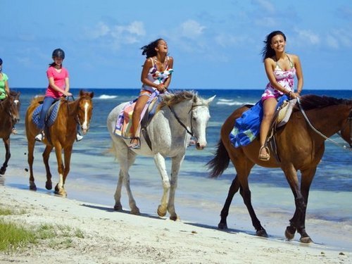 Montego Bay  Jamaica ocean swim with horses Booking
