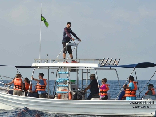 Mazatlan snorkel with dolphin Cruise Excursion Tickets