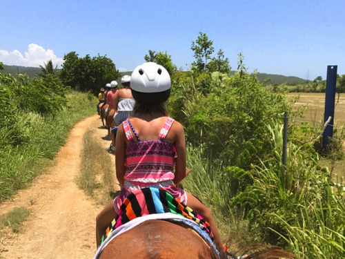 Ocho Rios  Jamaica swim with horses Prices