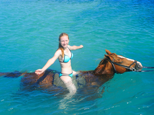 Falmouth horse riding through water Prices