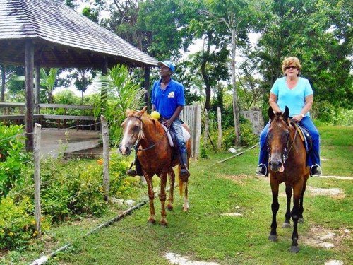 Ocho Rios horseback riding Trip