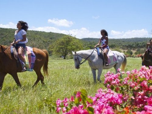 Ocho Rios  Jamaica horseback riding Tickets