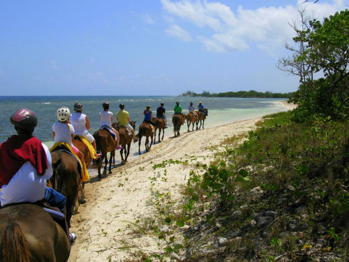 Ocho Rios  Jamaica ride horse in ocean Booking