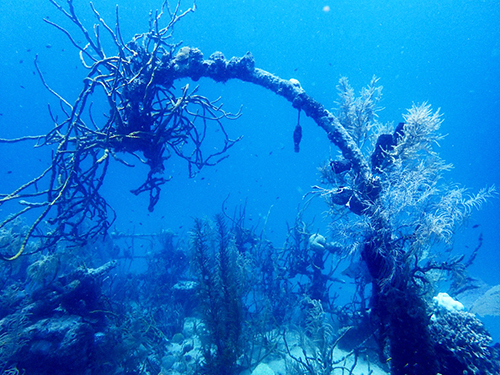 Roatan Snorkeling Sightseeing Trip Reservations