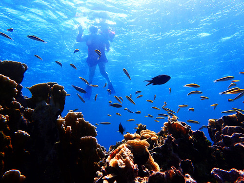 Roatan Beach Break Excursion Booking