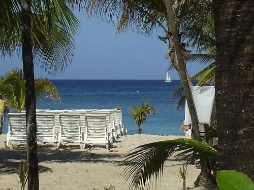 Roatan central park Adventure Excursion Prices