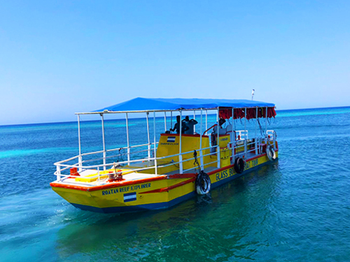 Roatan submarine Shore Excursion Booking