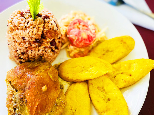 Roatan E-Bike, Food Tasting with Beach, and Wildlife Encounter Excursion