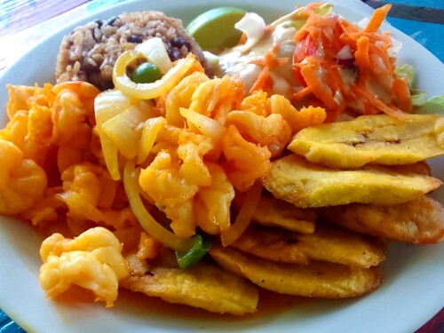 Roatan E-Bike, Food Tasting with Beach, and Wildlife Encounter Excursion