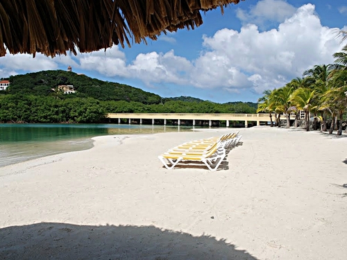 Roatan parrot tree resort Tour Booking