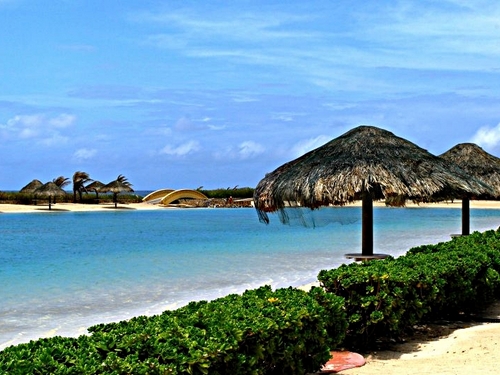 Roatan Honduras parrot tree resort Excursion Reservations