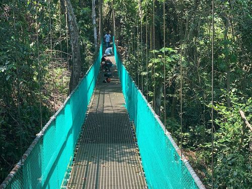 Roatan Eco Excursion Tour Tickets