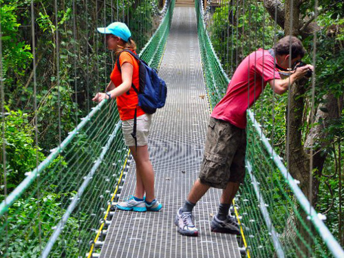 Roatan Eco Walkways Cruise Excursion Reviews