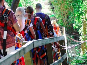Roatan Eco Walkways, Treetop Suspension Bridges and Zip Line and Beach Break Adventure Excursion
