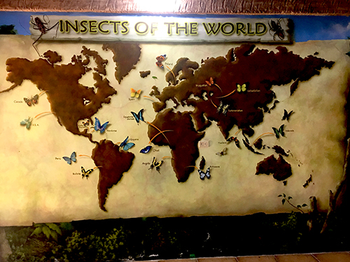 Roatan Family Friendly Sightseeing Trip Tickets