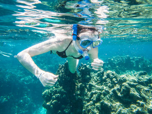 Roatan Honduras 2 Reef Snorkel Cruise Excursion Reviews