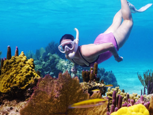Roatan Tropical Fish Adventure Cruise Excursion Reviews