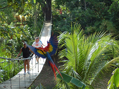 Roatan Honduras Monkeys and Parrots Shore Excursion Prices