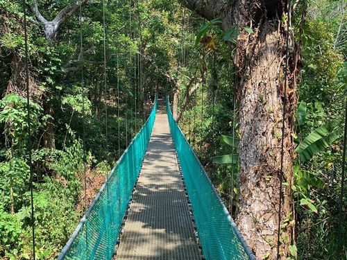 Roatan Honduras  Cruise Excursion Booking