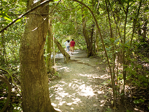 Roatan Flora and Fauna Sightseeing Tour Cost