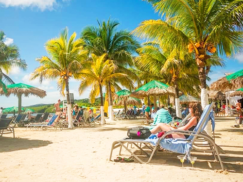 Roatan sloth Trip Prices