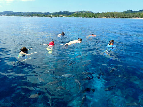 Roatan snorkel Tour Reservations