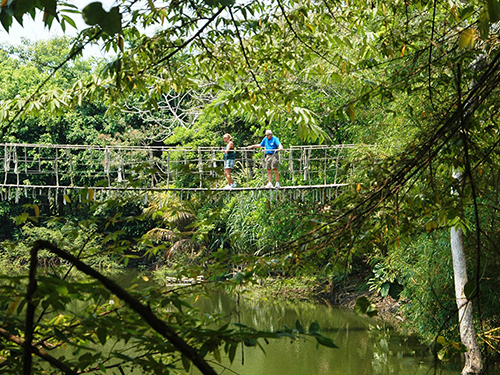 Roatan Honduras Flora and Fauna Sightseeing Tour Cost