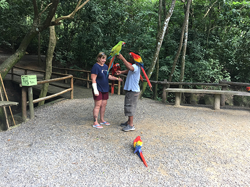 Roatan Honduras Natural Trails Shore Excursion Cost