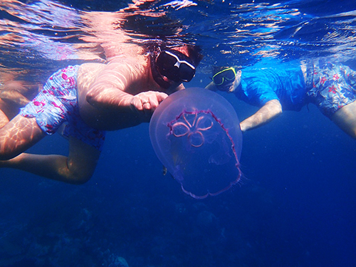 Roatan  Honduras Monkeys Trip Reviews