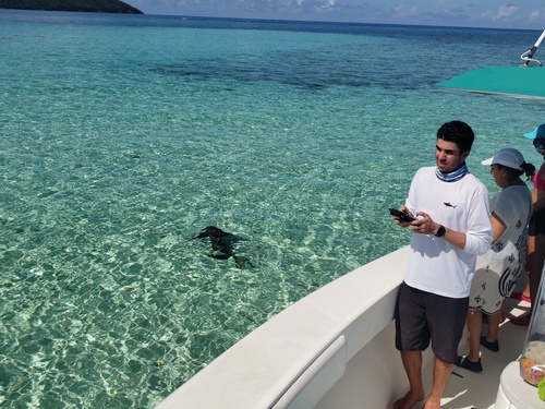 Roatan  Honduras Private Highlights Boat  Shore Excursion Booking