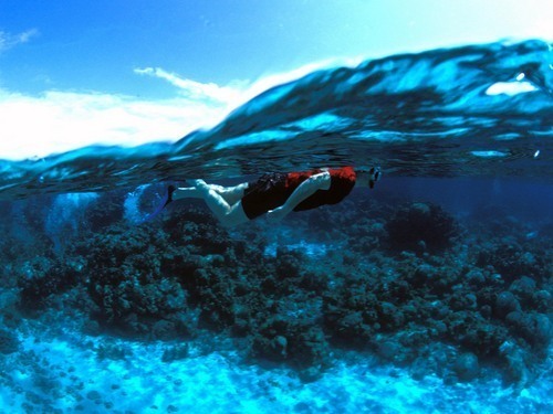 Roatan Honduras Sail and Snorkel Snorkel Cruise Excursion Prices
